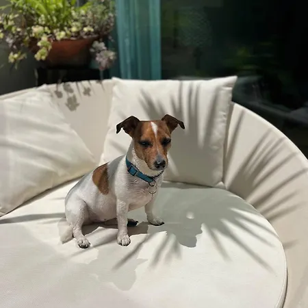 Hébergement de vacances Serenity-first *