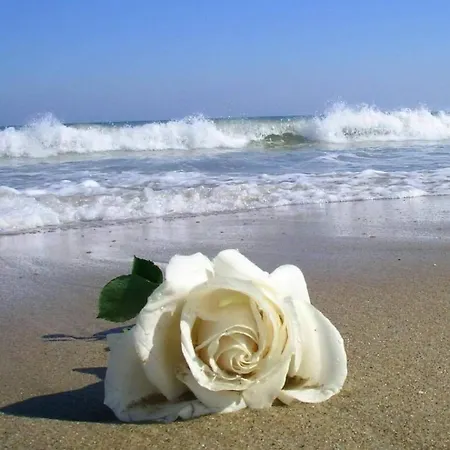 Hébergement de vacances Serenity-first