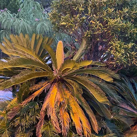 Casa de Férias Serenity-first Albufeira