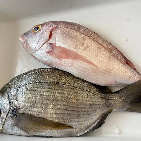 Serenity-first Albufeira