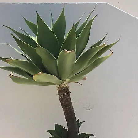 Casa de Férias Serenity-first