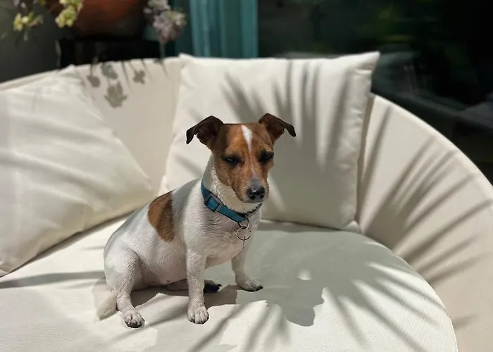 度假居 Serenity-first *