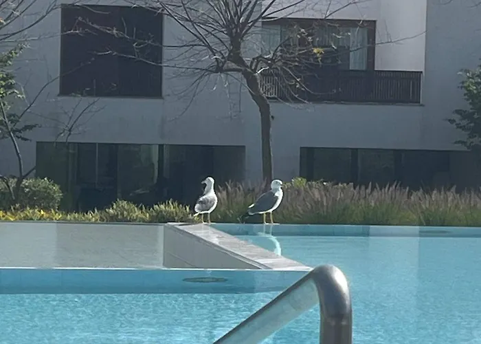 Serenity-first 阿尔布费拉