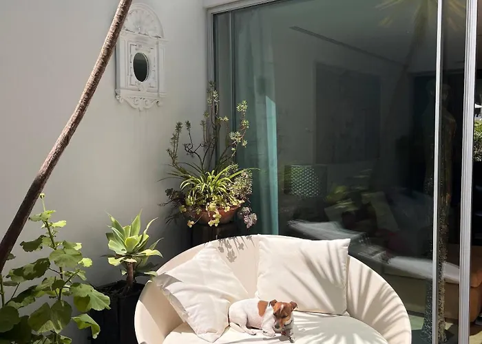 Serenity-first 度假居