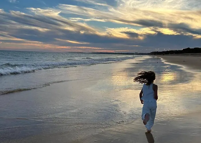 Serenity-first * 阿尔布费拉