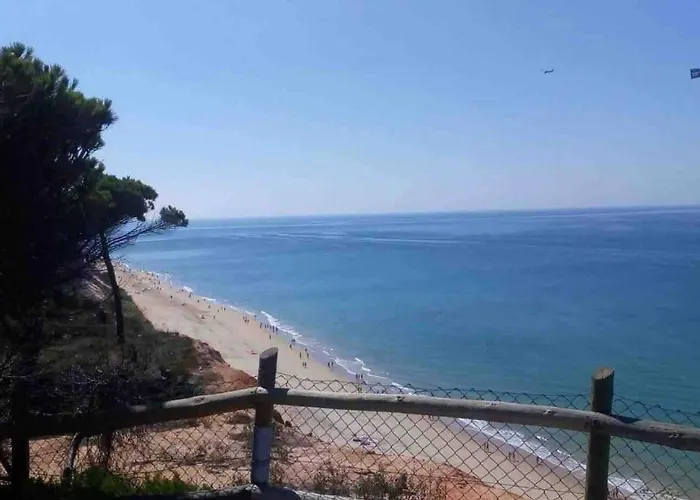 Serenity-first 度假居 *