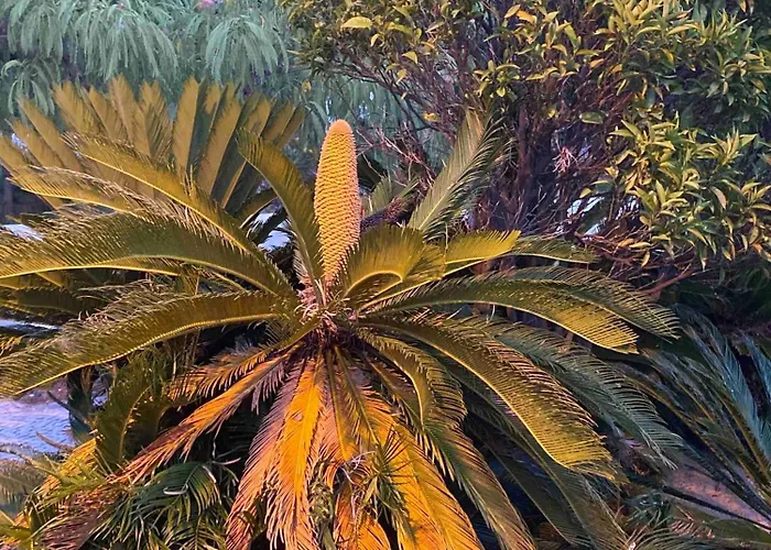 Сasa de vacaciones Serenity-first Albufeira