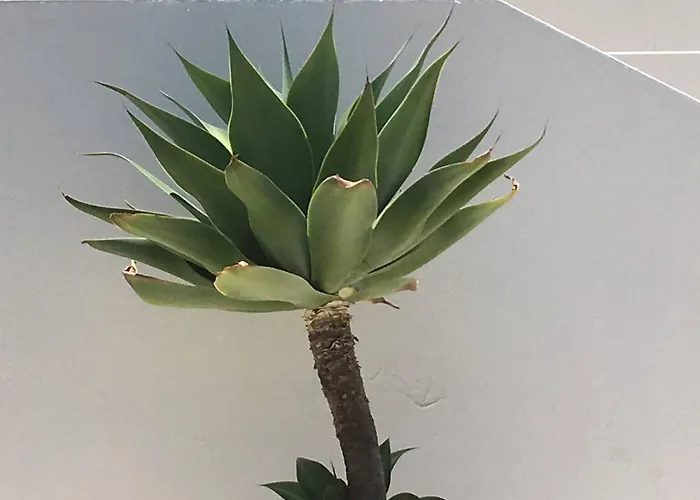 度假居 Serenity-first