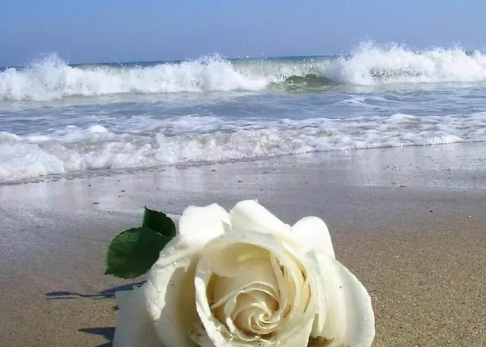 بيت للعطل Serenity-first