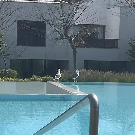 Serenity-first Albufeira