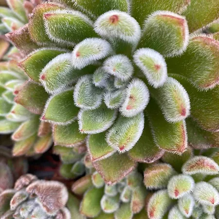 Prázdninový dům Serenity-first