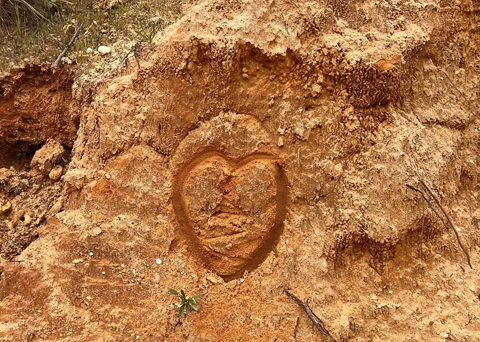 Serenity-first * アルブフェイラ