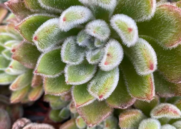 別荘 Serenity-first